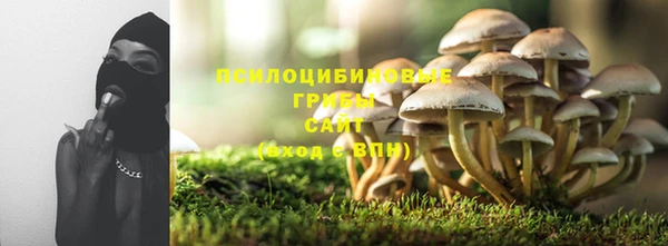марки lsd Козельск