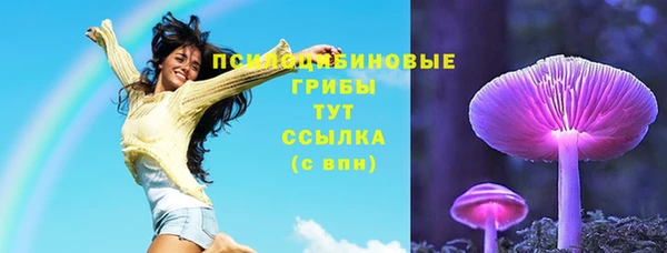 трава Кодинск