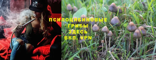 марки lsd Козельск