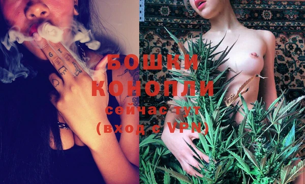 трава Кодинск
