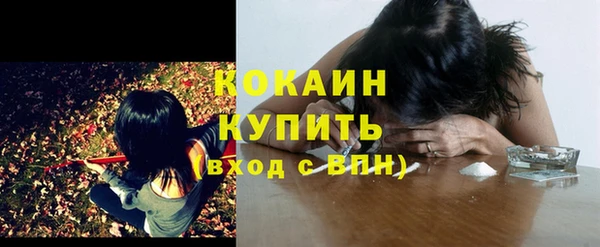 трава Кодинск