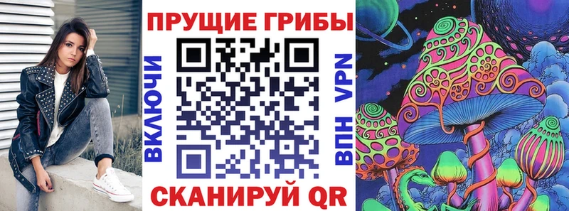 Купить где  Армавир  Псилоцибиновые грибы мицелий 